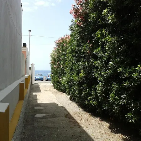 بيت للعطل Pitosforo - Ulivo - Cocco Forio di Ischia