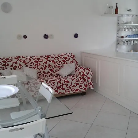 Pitosforo - Ulivo - Cocco بيت للعطل *
