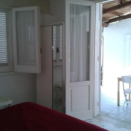 Pitosforo - Ulivo - Cocco بيت للعطل Forio di Ischia
