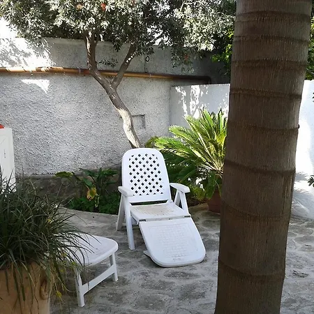 Pitosforo - Ulivo - Cocco Σπίτι διακοπών