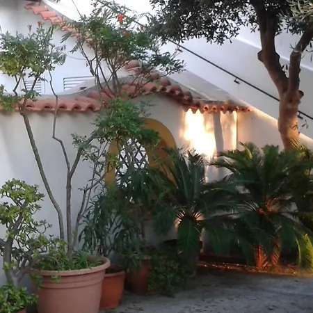 Pitosforo - Ulivo - Cocco Σπίτι διακοπών Forio di Ischia