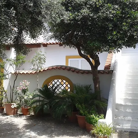 Σπίτι διακοπών Pitosforo - Ulivo - Cocco *